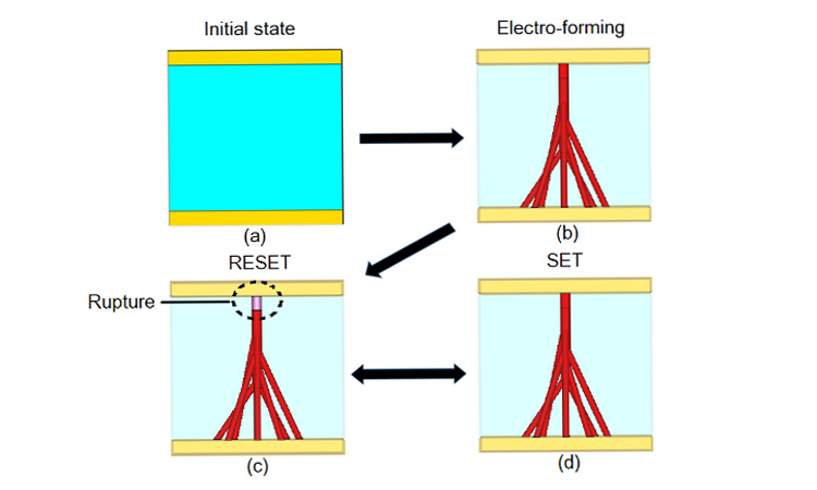 Fig. 1 Formation and rupture of conductive filaments (electroforming); (a) initial state, (b) electro-formation of filament, (c) rupture of filament, RESET state and (d) reversible SET state