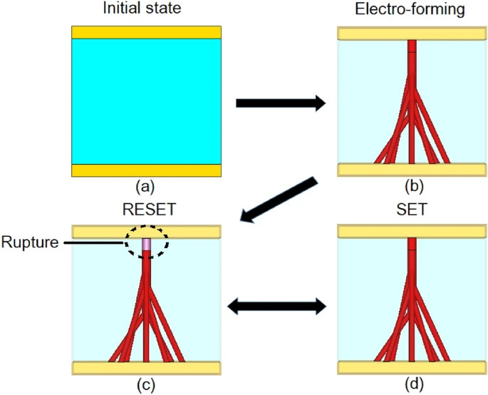 Fig. 1:  Formation and rupture of conductive filaments (electroforming); (a) initial state, (b) electro-formation of filament, (c) rupture of filament, RESET state and (d) reversible SET state