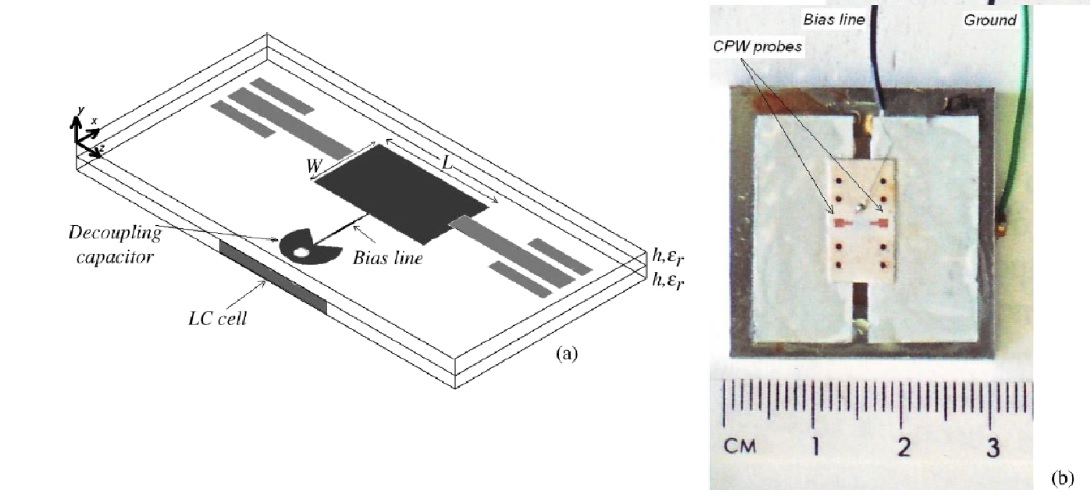 Fig. 1. Measurement structure: (a) schematic and (b) associated fabricated device.